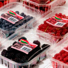 Eco-friendly Disposable Plastic Food Tray for fruit meat (PP tray)